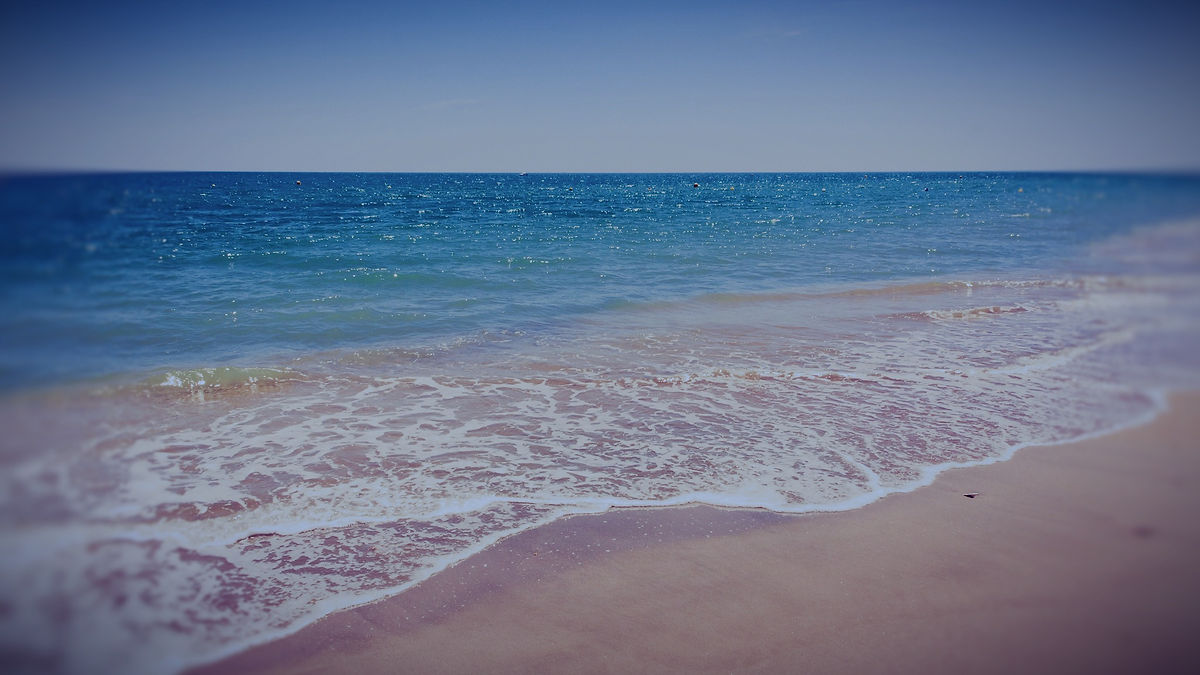 Calm shoreline with gentle waves