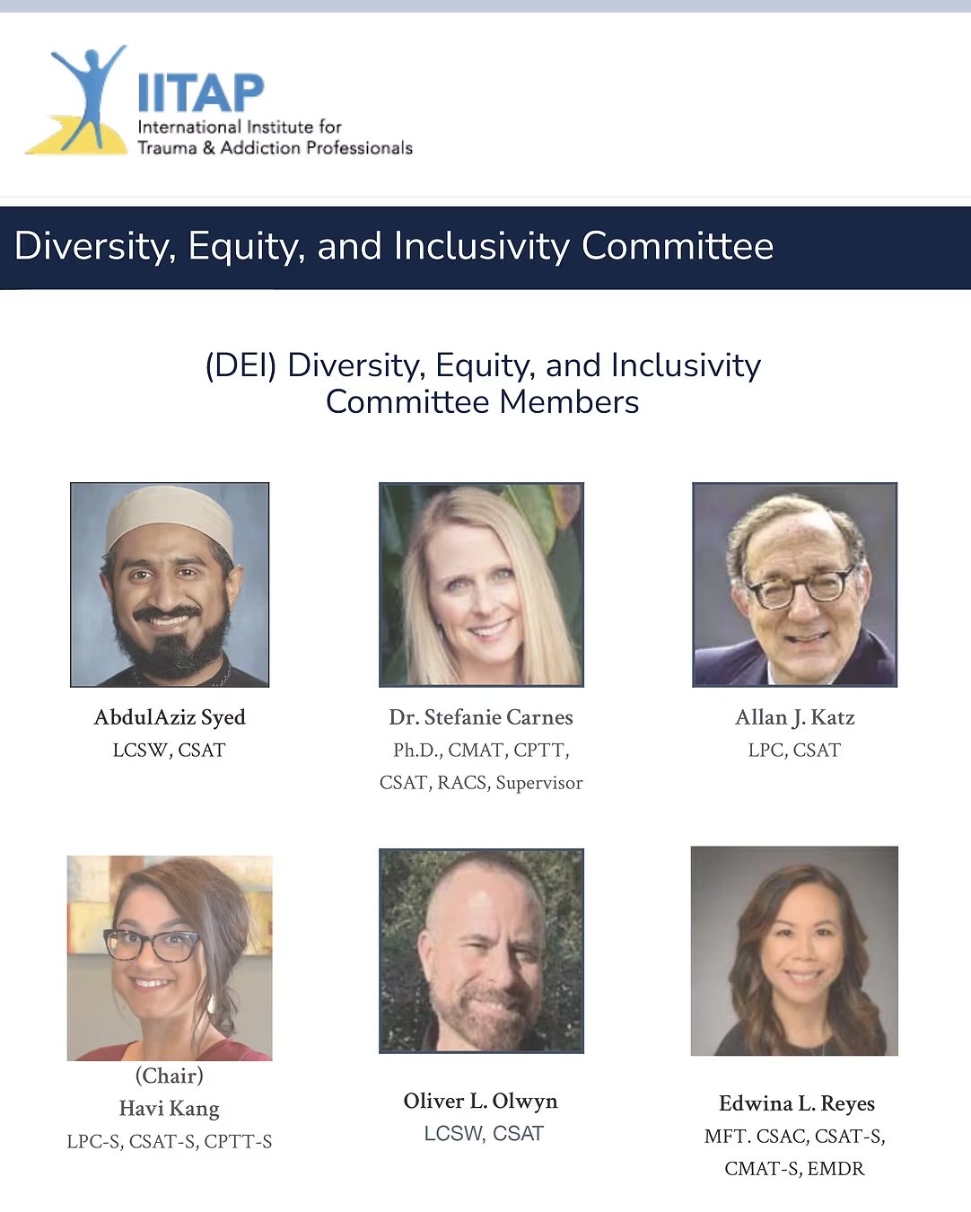 IITAP Diversity, Equity, and Inclusivity Committee members: AbdulAziz Syed, Dr. Stefanie Carnes, Allan J. Katz, Havi Kang (Chair), Oliver L. Olwyn, and Edwina L. Reyes